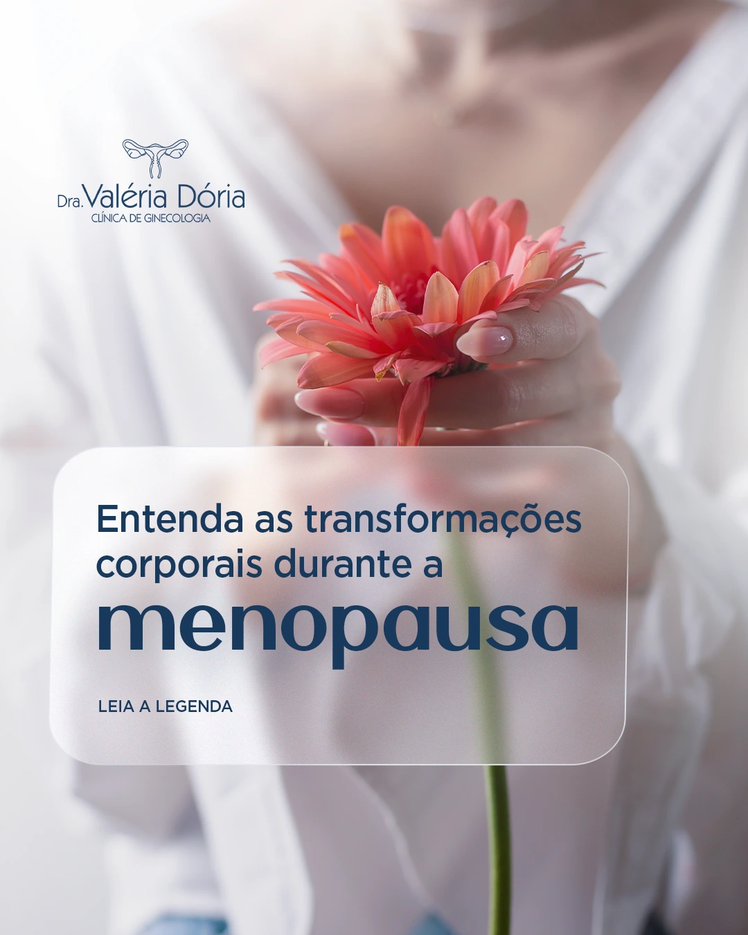 Entenda as transformações hormonais durante a menopausa