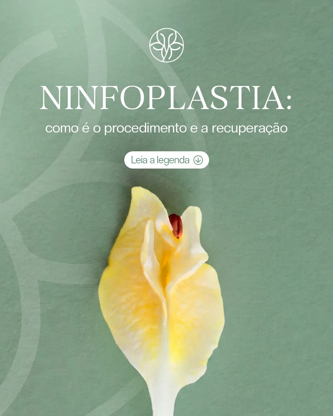 Ninfoplastia: como é o procedimento e a recuperação